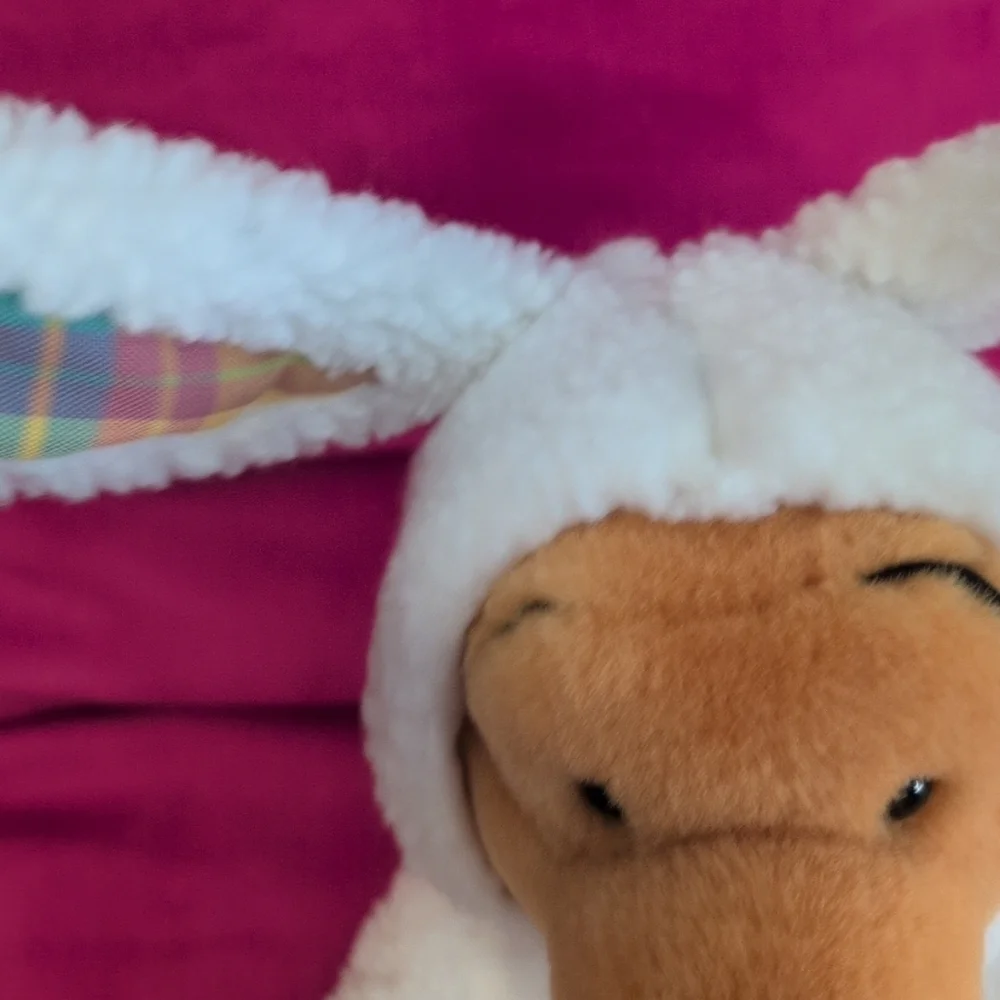 Disney Winnie the Pooh Bunny